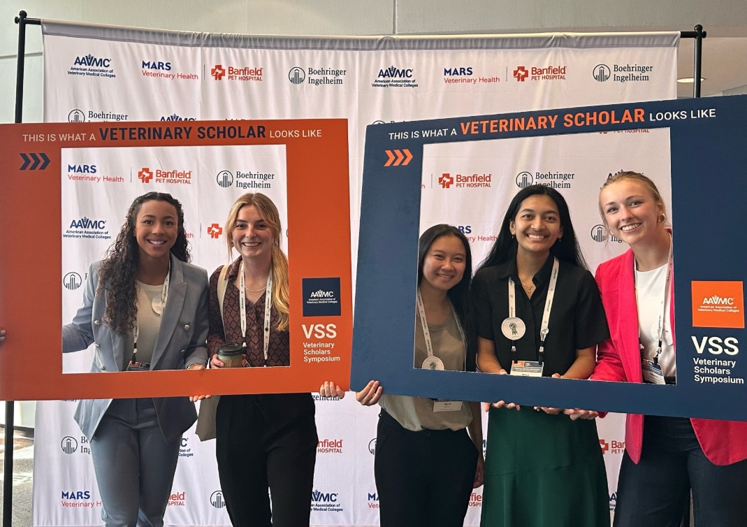 four women posing in frames that say, "this is what a veterinary scholar looks like"