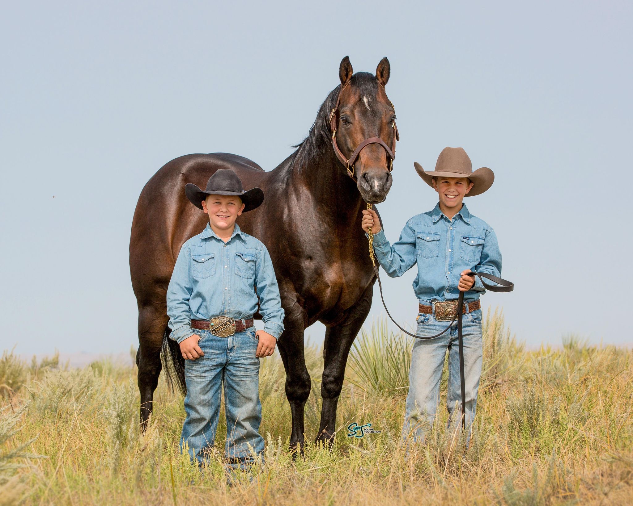 two boys standing in golden field on either side of a brown horse