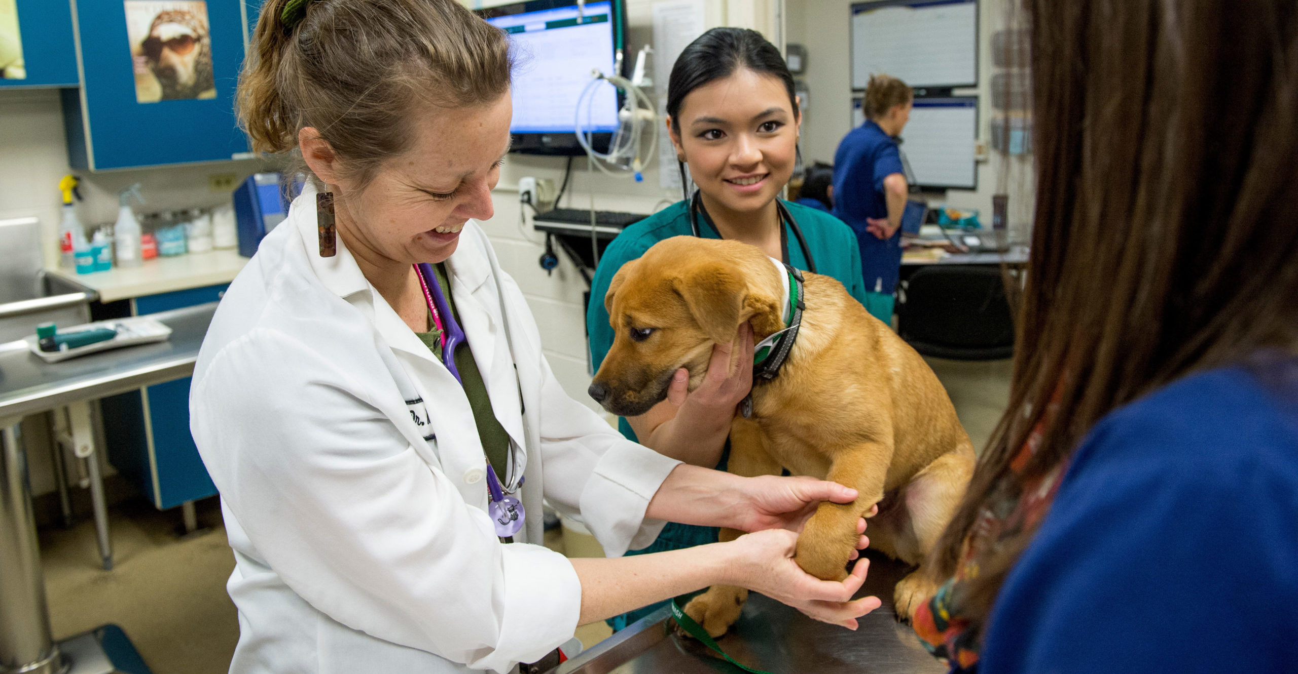 Primary Pet Care – Veterinary Teaching Hospital