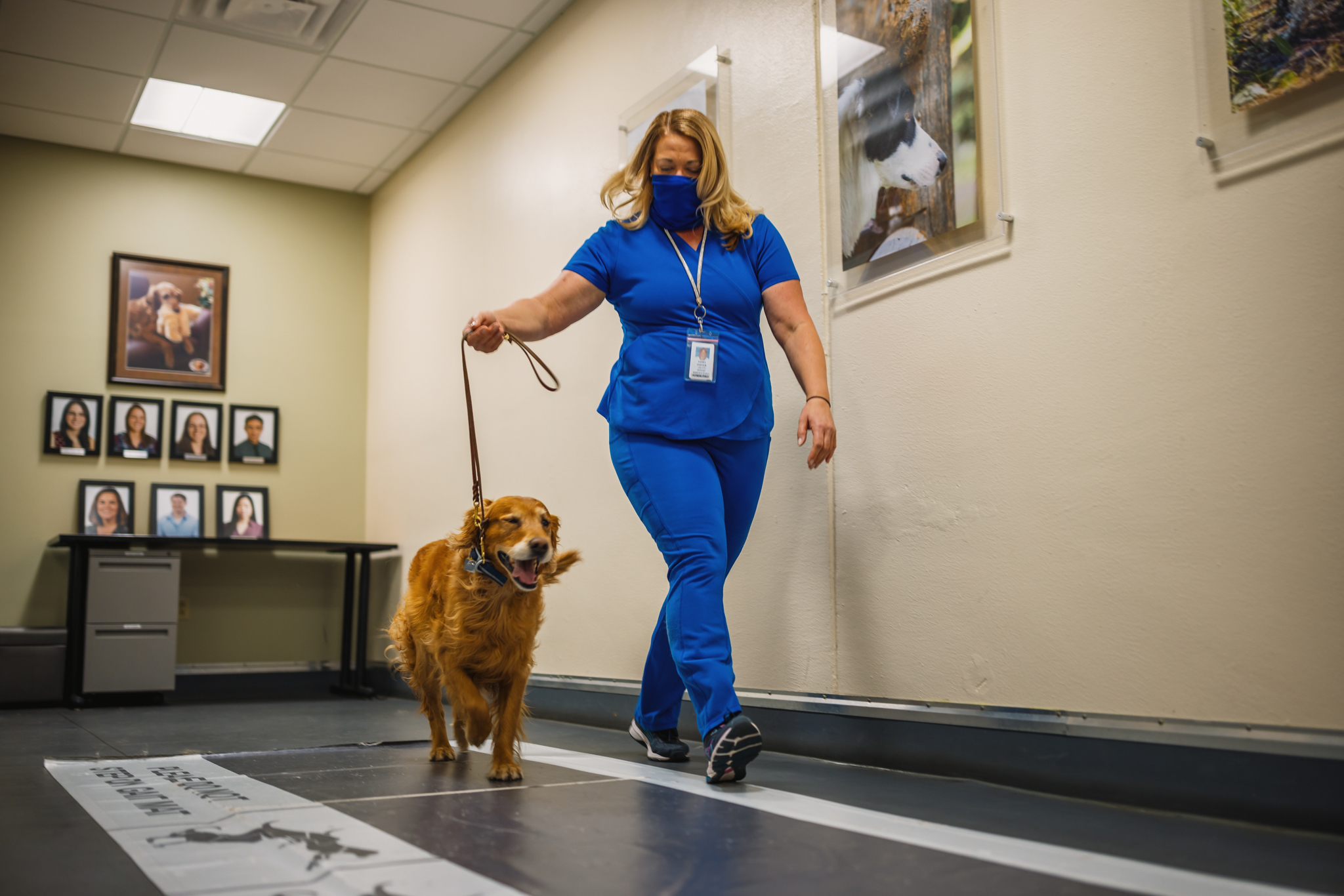 Small Animal Orthopedic Medicine and Mobility – Veterinary Teaching Hospital