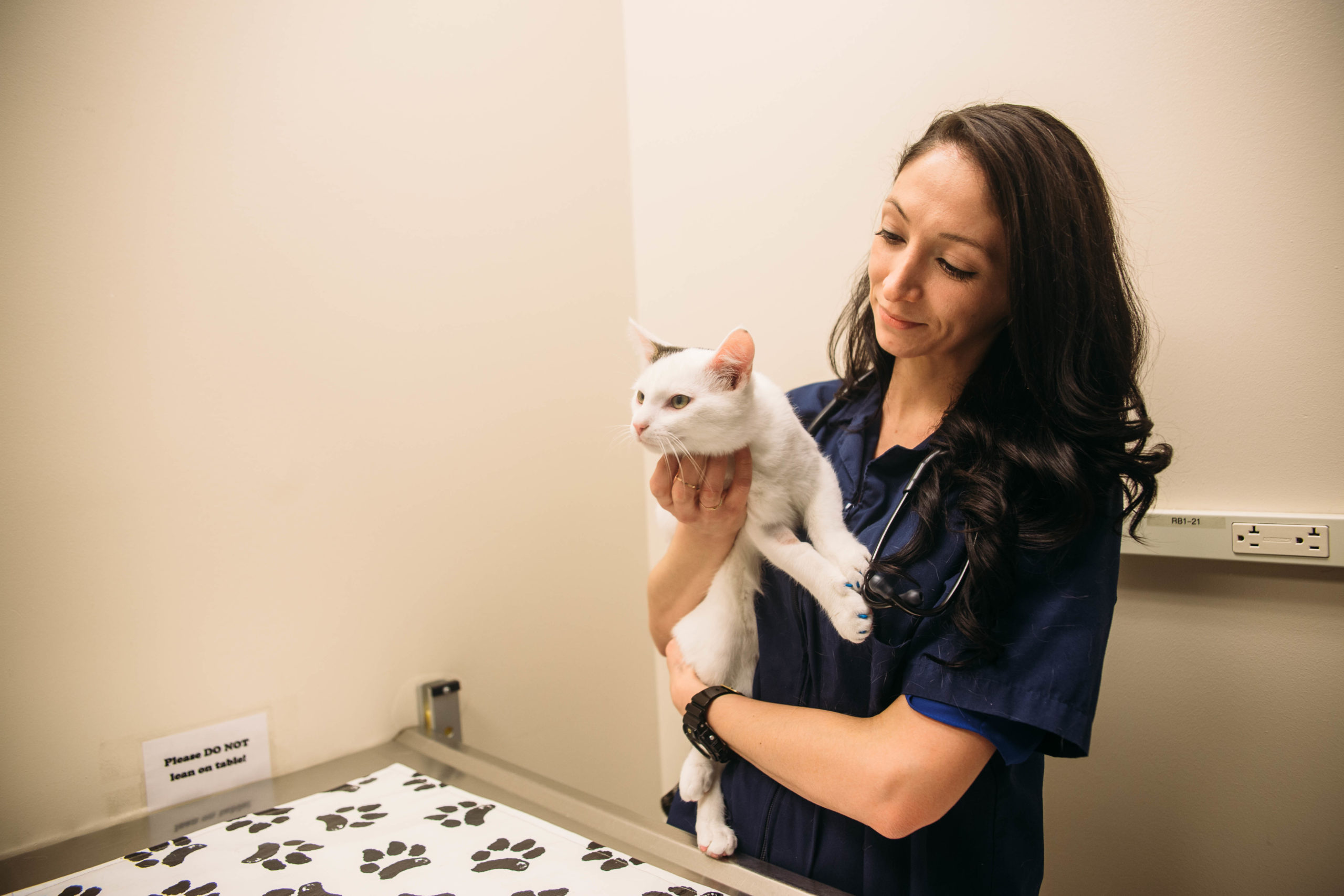 A veterinary student holding a kitten