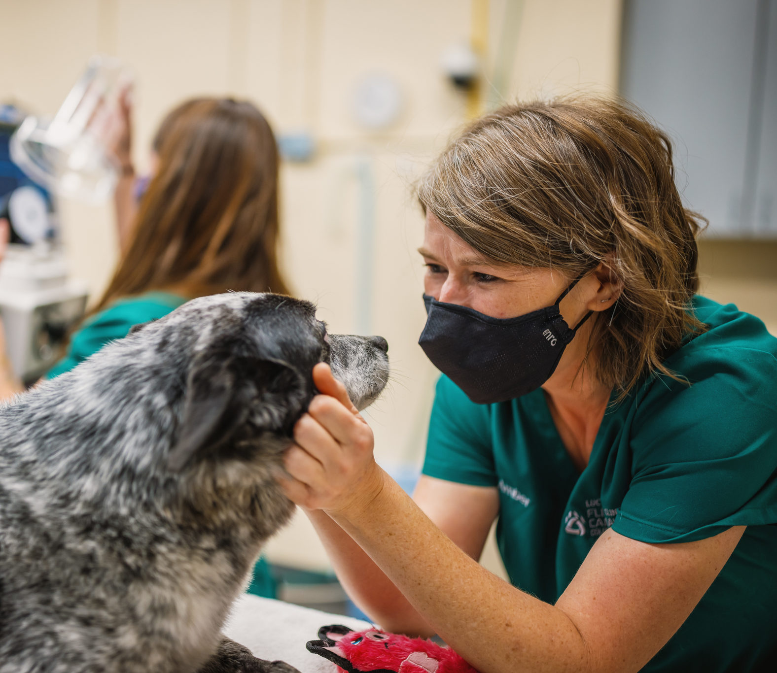 Client Information – Veterinary Teaching Hospital