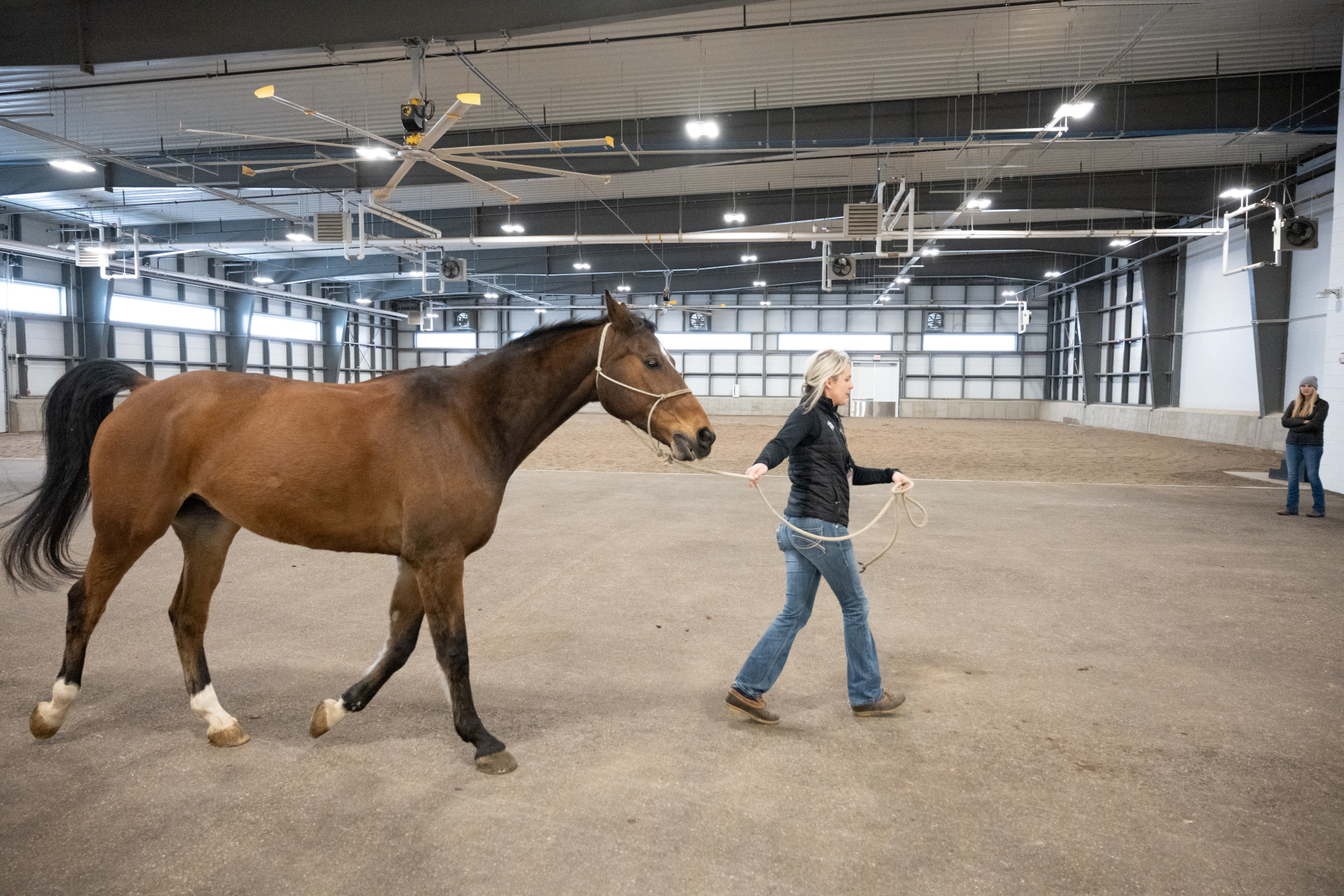 Johnson Family Equine Hospital Veterinary Teaching Hospital