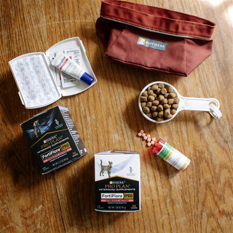 pet evacuation kit items sitting on top of a wooden table