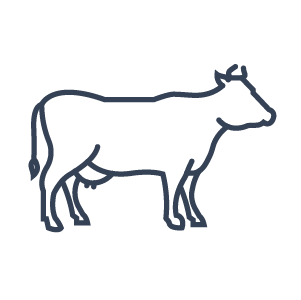 cow icon