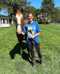 A person in a blue shirt stands in a green field, holding the reigns of a horse with a white and brown face, a large tree and white house in the background