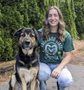 A person with a green shirt on, kneeling next to a black and tan dog, with bushes in the background