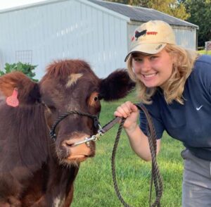 A person with blond hair wearing a white had holds reigns to a cow, and smiles at the camera