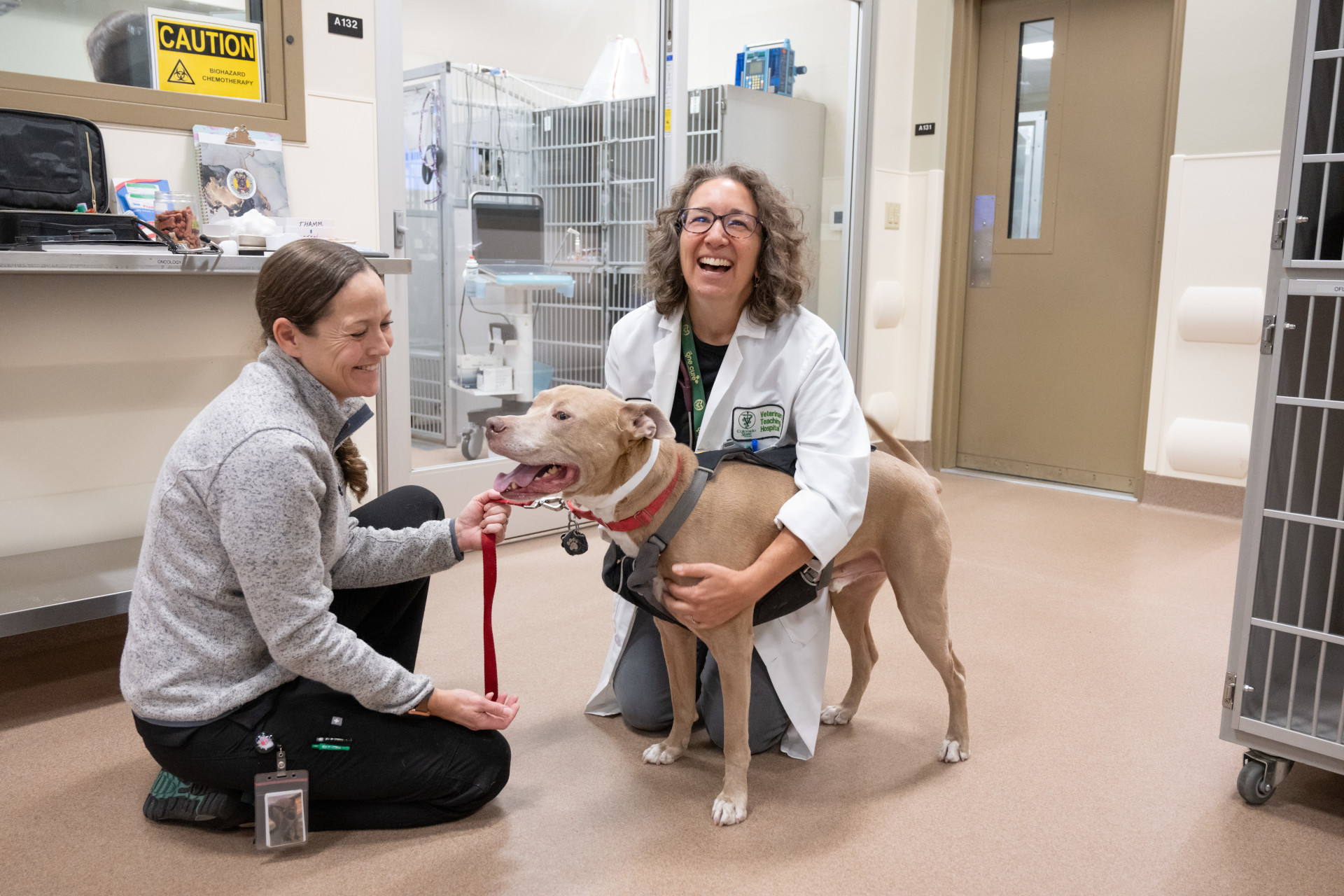 two women with a dog in a veterinary clinic